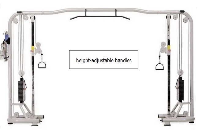 A Beginner s Guide to Cable Pulley Machines Bodybuilding Wizard