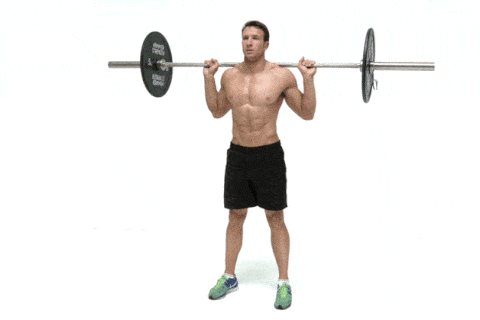 barbell squat movement patterns animation