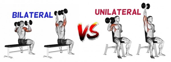 Unilateral Training: Pros & Cons • Bodybuilding Wizard