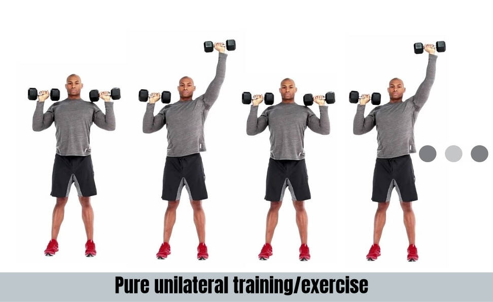 Unilateral training: Pros & Cons • Bodybuilding Wizard