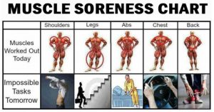 Delayed Onset Muscle Soreness • Bodybuilding Wizard