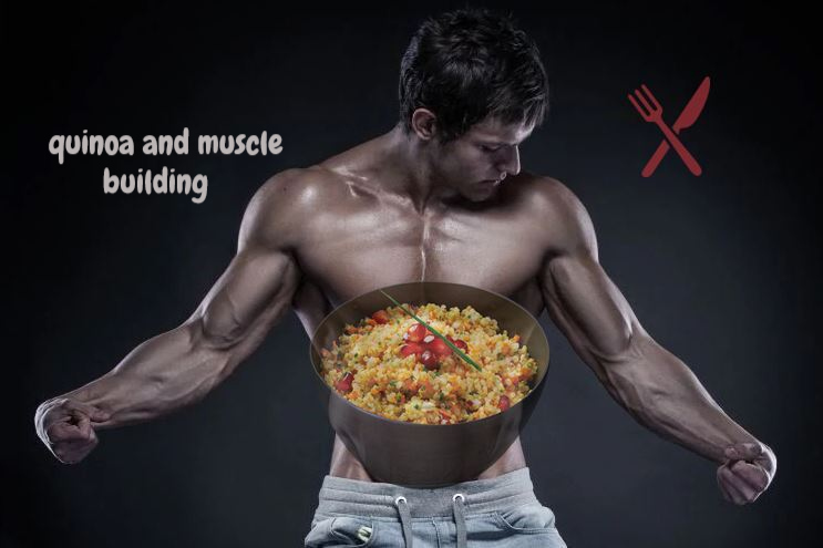 quinoa: muscle building foods
