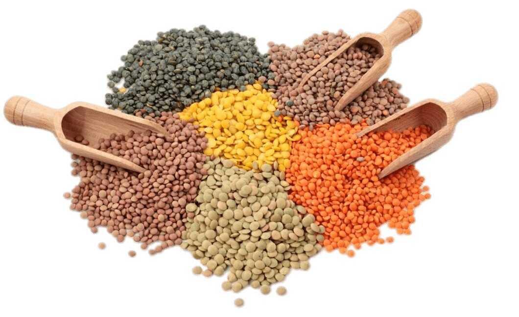 Types Of Lentils List