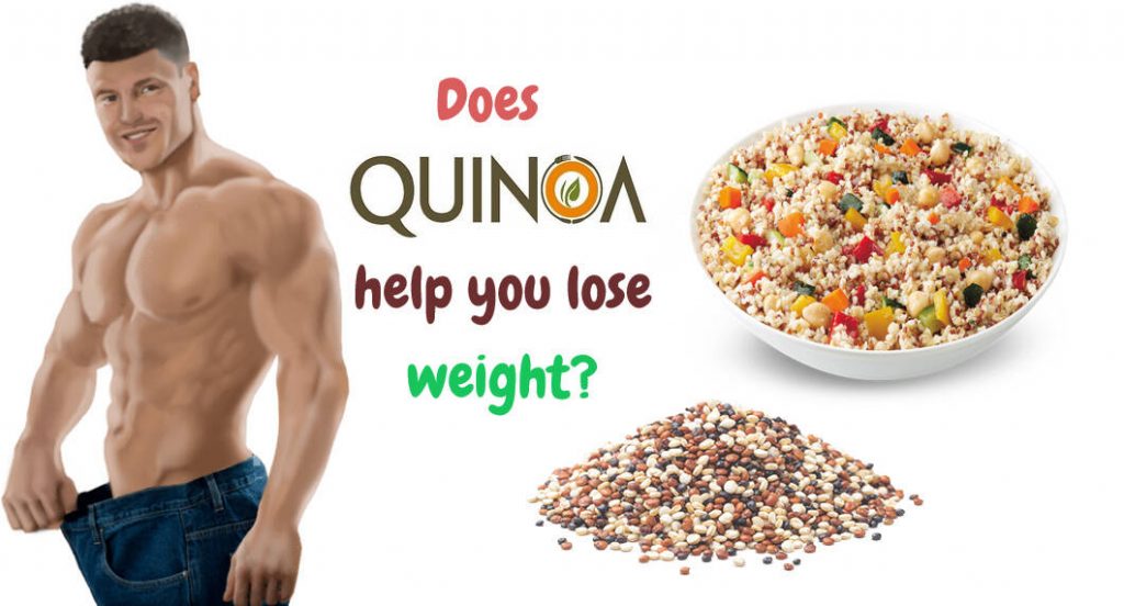 Quinoa For Weight Loss Bodybuilding Wizard