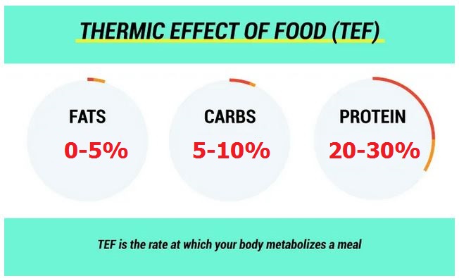 Thermal Effect On Food