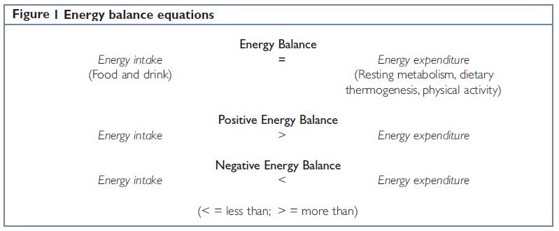 energy balance equation