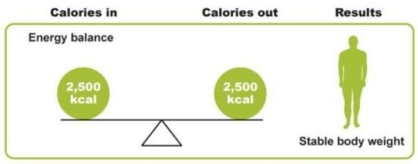 energy-balance-equation-the-key-to-weight-management-bodybuilding-wizard