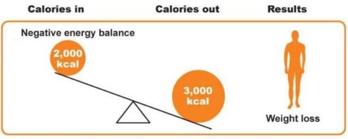 how-to-avoid-severe-negative-energy-balance-trainerize-me