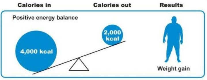 energy-balance-energy-in-energy-out-yet-not-as-simple-as-it-seems