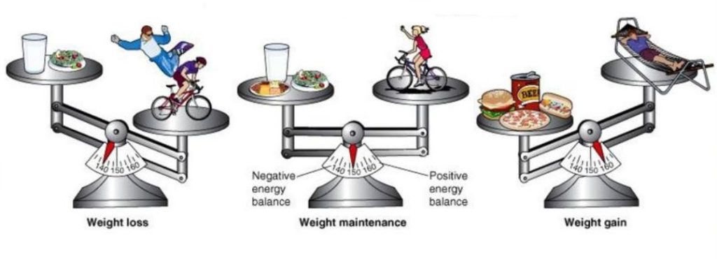 weight loss, weight gain, weight maintenance