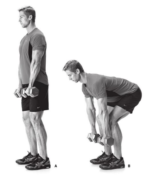 Dumbbell Straight Leg Deadlift Bodybuilding Wizard