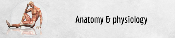 faq about anatomy physiology