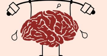 Nervous System Adaptations to Strength Training nervous system adaptations to strength training