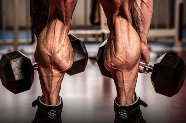 soleus muscle: origin insertion innervation • Bodybuilding Wizard