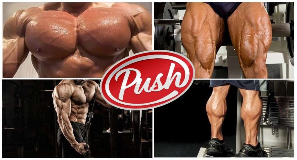 muscles that help push