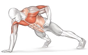 single-arm pushups muscles used