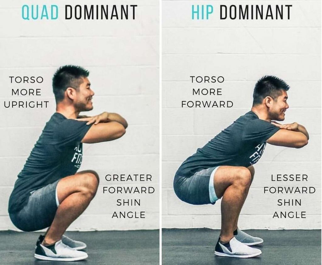 hip dominant versus quad dominant exercises