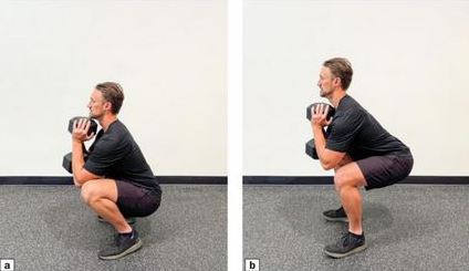 squat: vertical and horizontal trunk angle