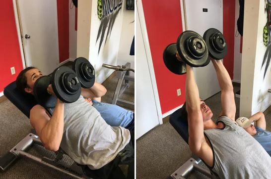 incline dumbbell champagne press exercise