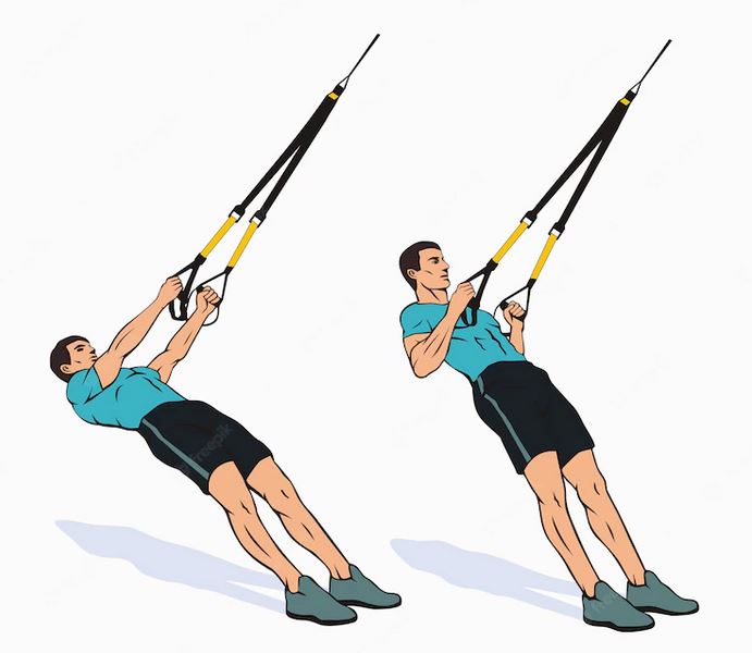 trx inverted rows exercise guide
