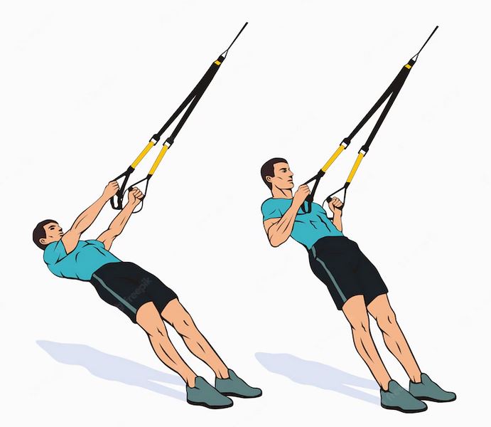 Inverted Rows Trx