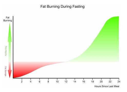 fat burning during fasting