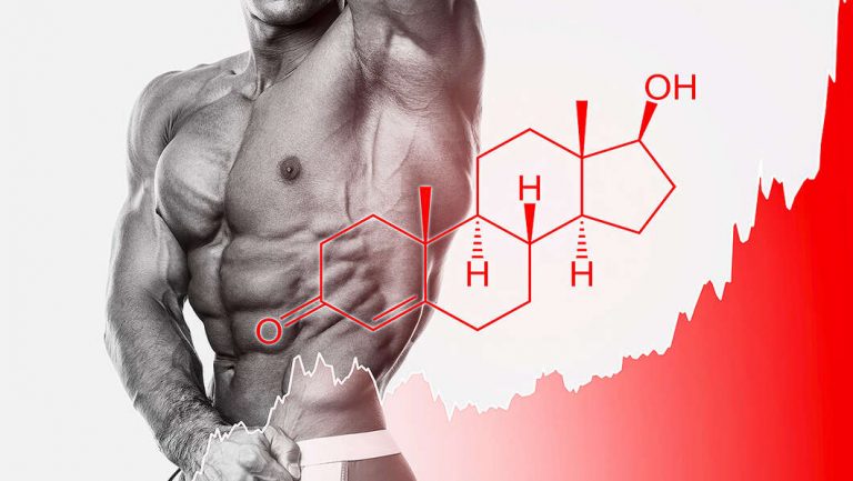 anabolic and catabolic hormones bodybuilding