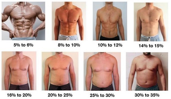 body fat percentage examples