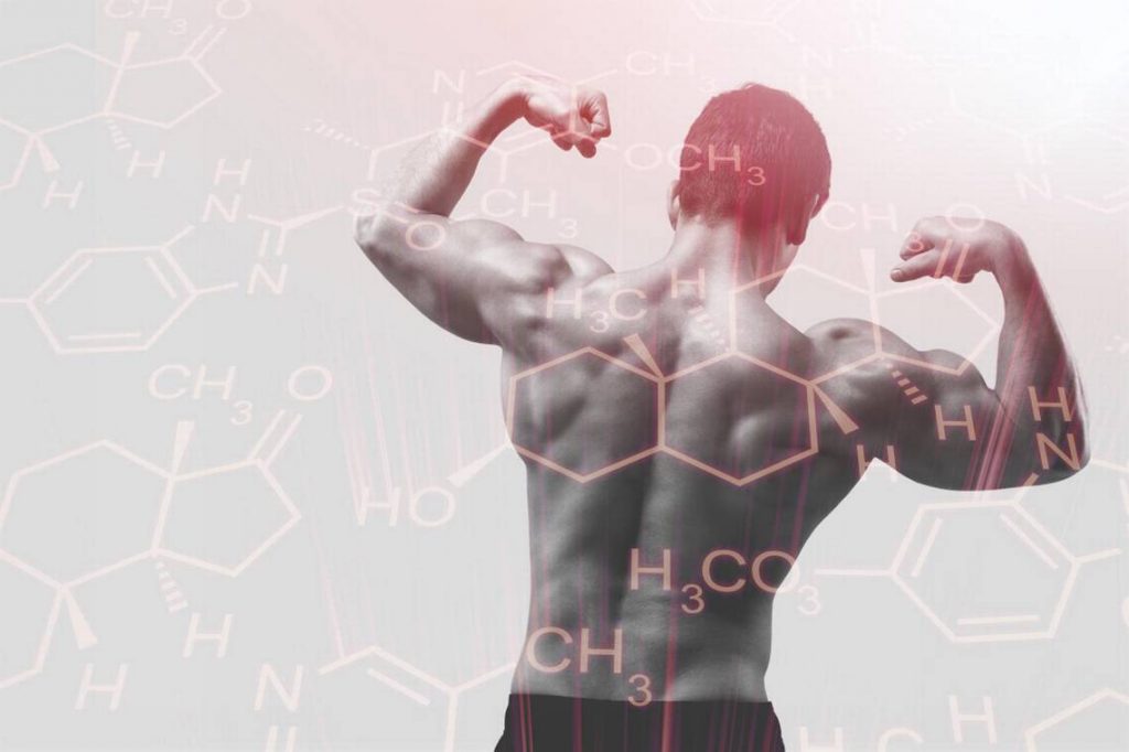 role of hormones in bodybuilding