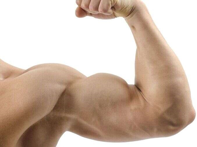 biceps refuse to grow big