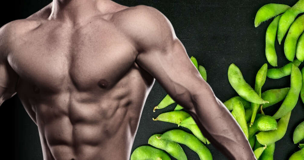 edamame for muscle building