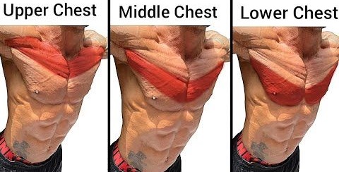 inner chest exercises