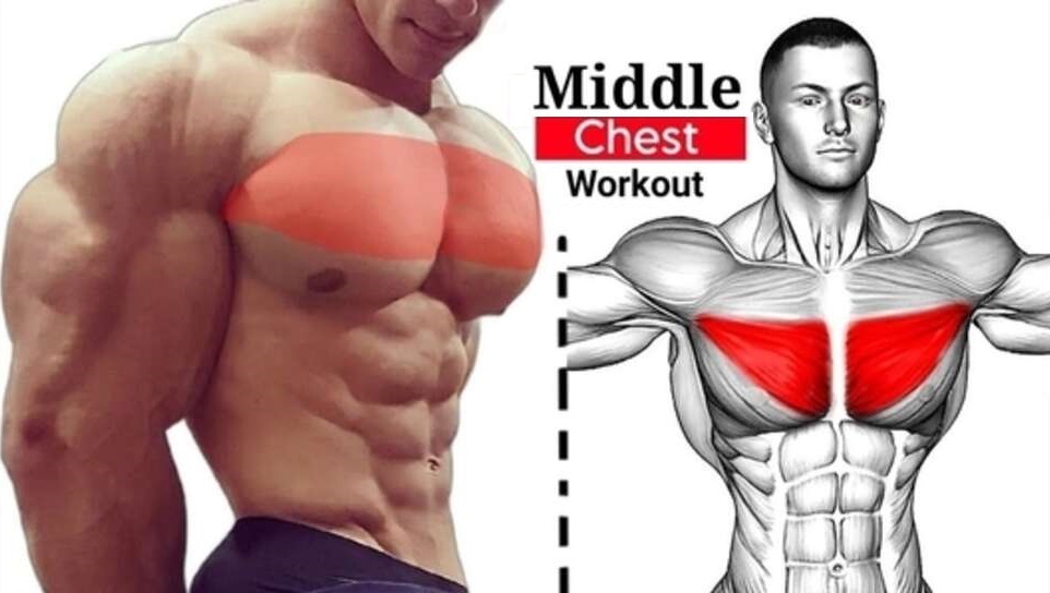 middle chest exercises