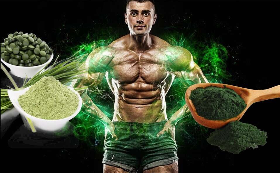 spirulina for muscle building