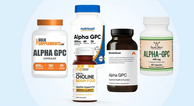 How Can Alpha-GPC Benefit Your Workout?