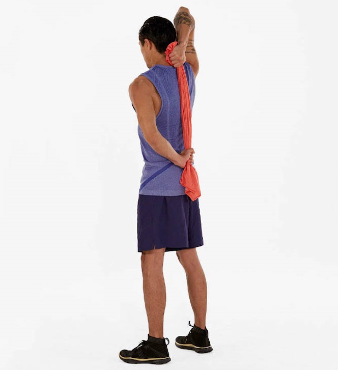 Triceps Brachii: Stretches