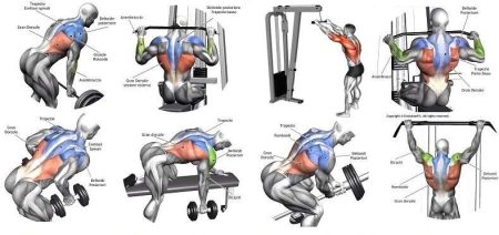 The Anatomy Of The Latissimus Dorsi - The Largest Back Muscle ...