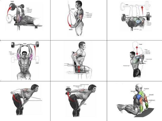 https://bodybuilding-wizard.com/wp-content/uploads/2024/03/triceps-exercises-chart.jpg