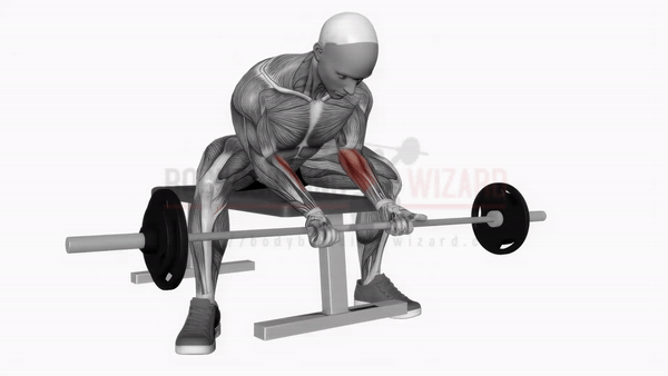 The Best Exercises for Massive and Powerful Forearms • Bodybuilding Wizard