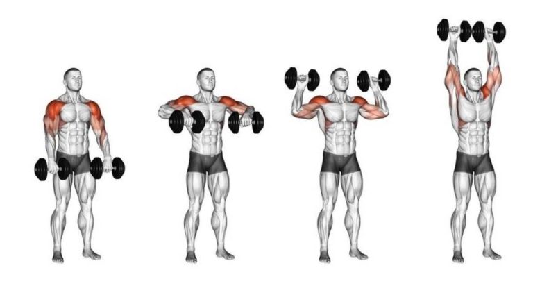 The Dumbbell Cuban Press Exercise for Front Deltoids dumbbell cuban rotation exercise