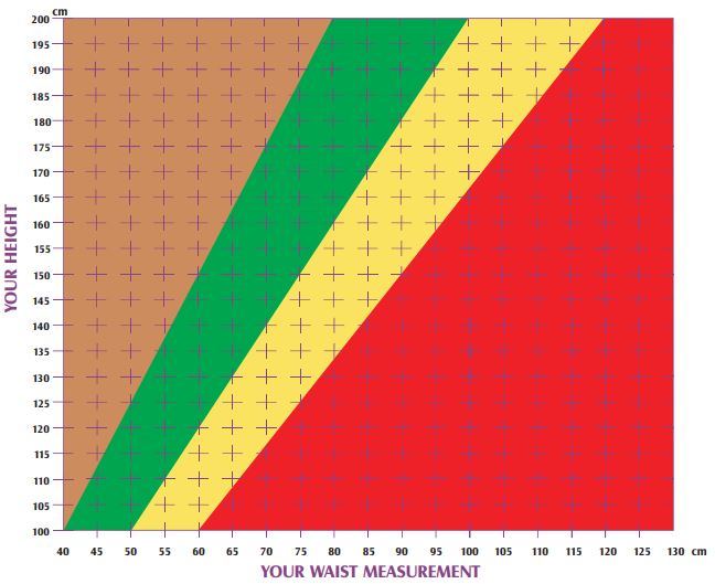 Waist-to-Height Ratio Calculator • Bodybuilding Wizard