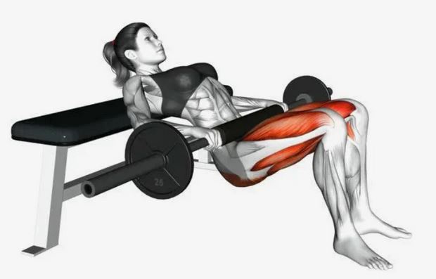 Glute-Focused Strength Training Plan for Women • Bodybuilding Wizard