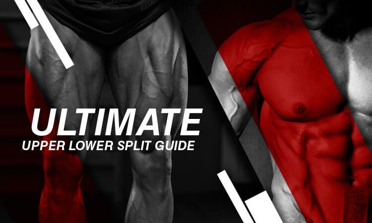 Beginner Upper / Lower Split Workout Program (Gym Edition)
