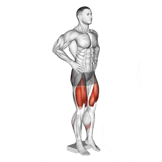 bodyweight cyclist squat exercise