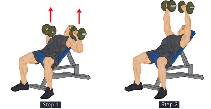 Incline Dumbbell Bench Press for Upper Chest Growth: Step-by-Step ...
