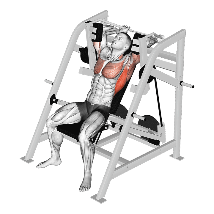 Machine Pullover: Proper Form, Muscles Worked, Benefits & Lat ...
