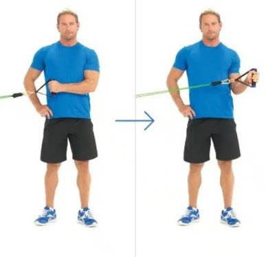 Axial Rotation Exercise 12 Best Rotator Cuff Exercises for Strong, Stable & Pain-Free Shoulders