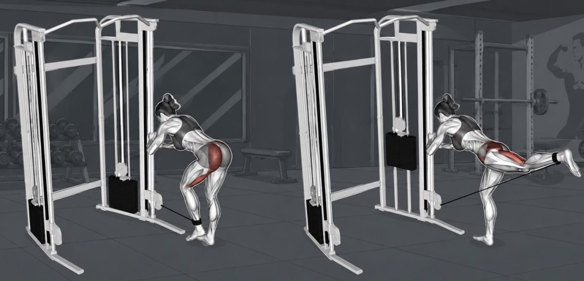 Cable Glute Kickback: Proper Form, Muscles Worked, Variations ...